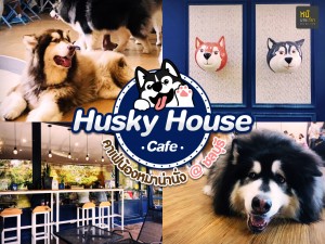 Husky House Cafe คาเฟ่น้องหมาน่านั่ง